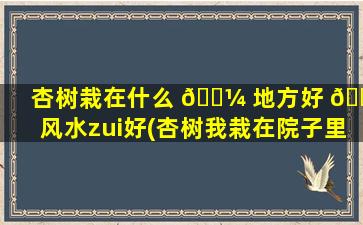 杏树栽在什么 🌼 地方好 🌼 风水zui
好(杏树我栽在院子里、哪个位置好)